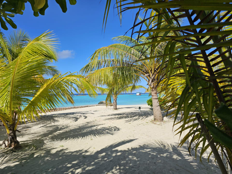 Ausblick Adaaran Select Meedhupparu Island Resort - Premium All Inclusive