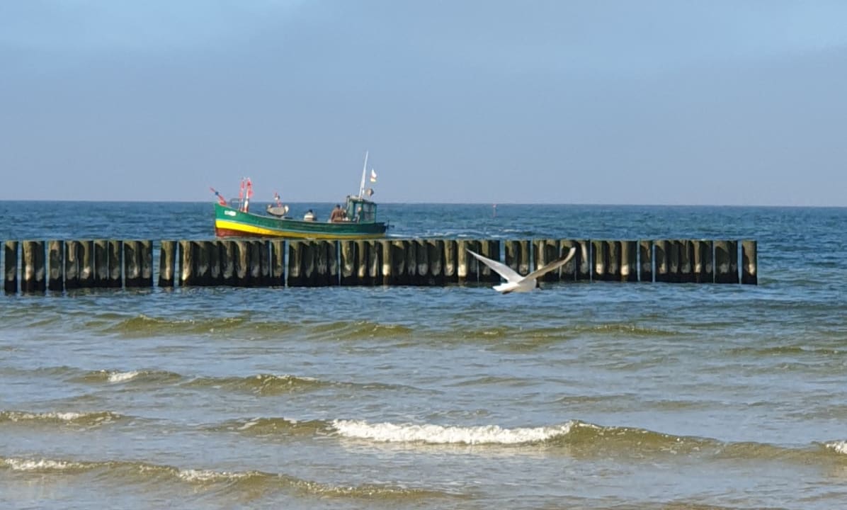 Ausblick Villa del Mar