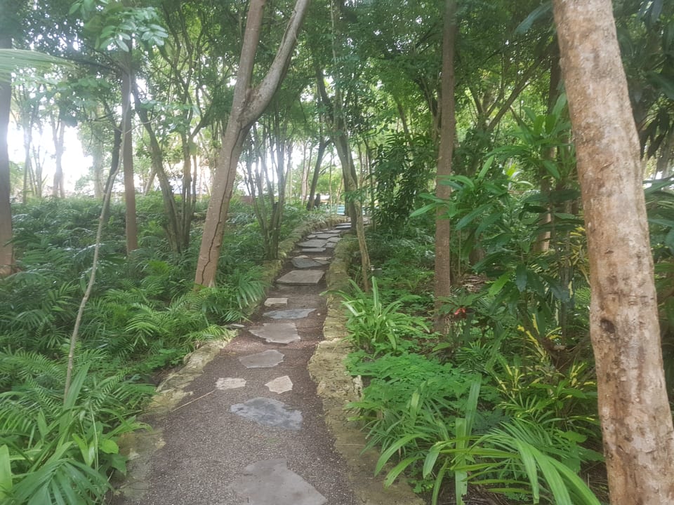 Kleiner Dschungel durch die Hotelanlage  Grand Palladium Punta Cana Resort & Spa