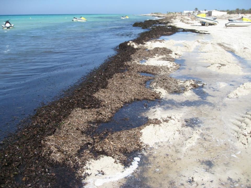 Sidi Mansour 2012 Sidi Mansour Resort & Spa