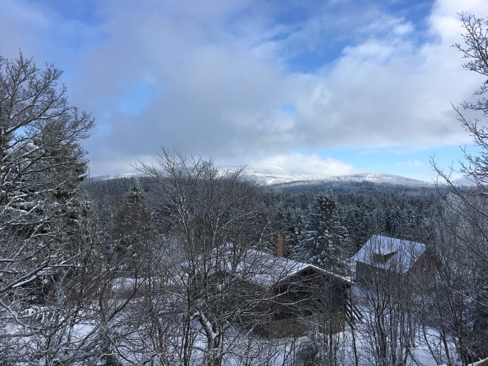Ausblick Torfhaus Harzresort