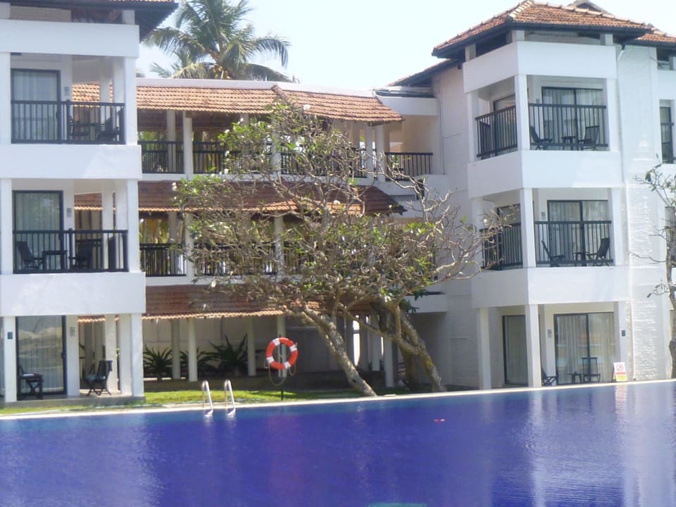 Pool und Hotel Club Hotel Dolphin