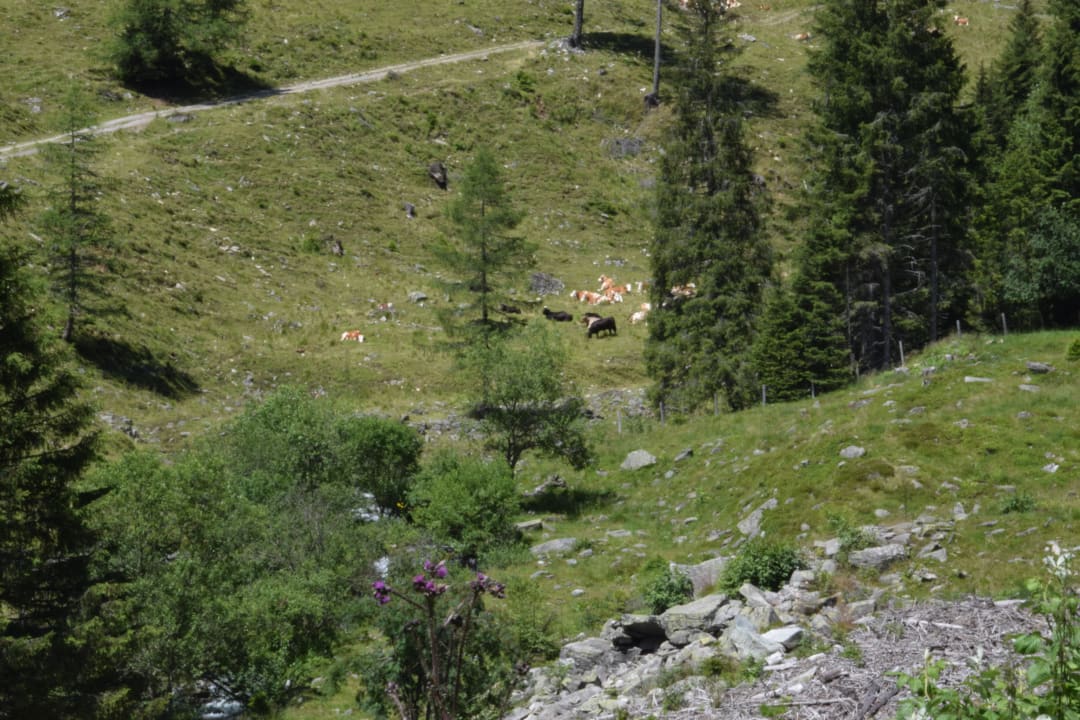 Geführte Wanderung organisiert vom Laurenzhof Hotel Laurenzhof