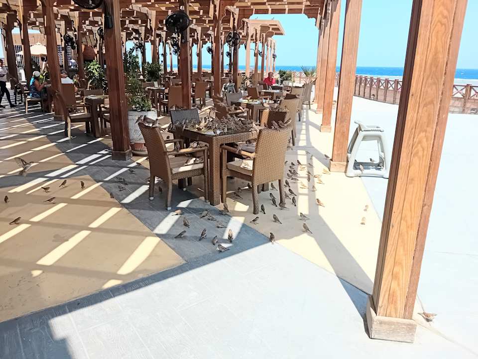 Gastro Novotel Marsa Alam Beach Resort