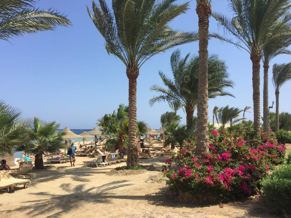 Strand Brayka Bay Resort