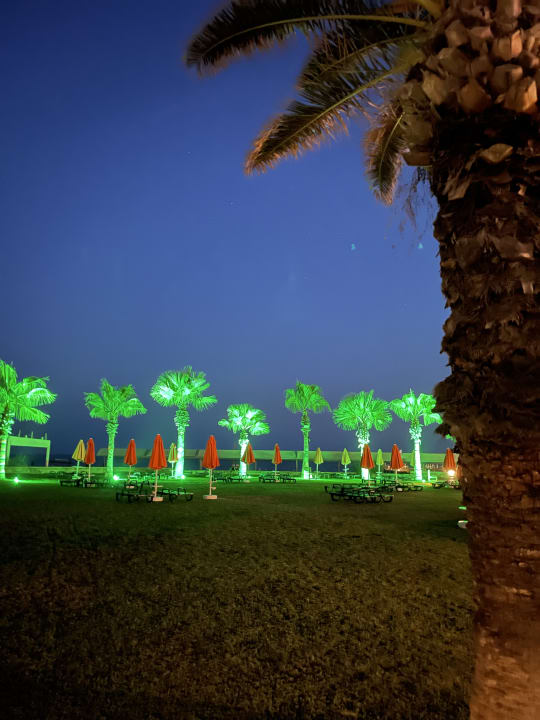 Ausblick Megasaray Club Belek