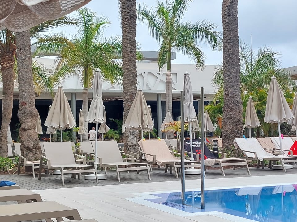 Pool Hotel Riu Palace Palmeras