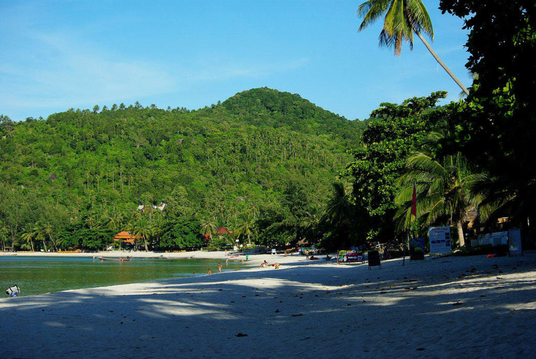 Plaża przed Dreamland Resort Hotel Dreamland Resort