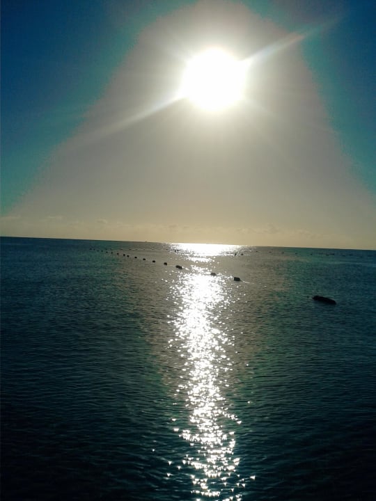 Sonnenaufgang Hotel El Mouradi Palm Marina