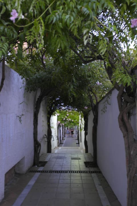 Sonstiges Hotel Best Siroco