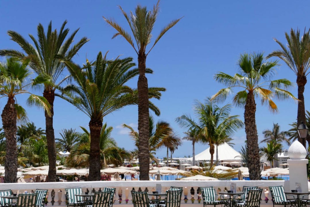 Blick auf den Hauptpool Hotel Riu Palace Maspalomas Adults Only