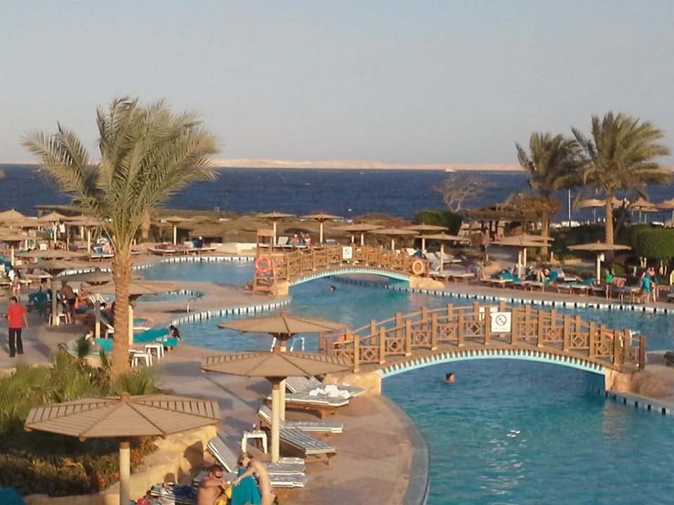 Sea Life Pool Charmillion Gardens Aquapark