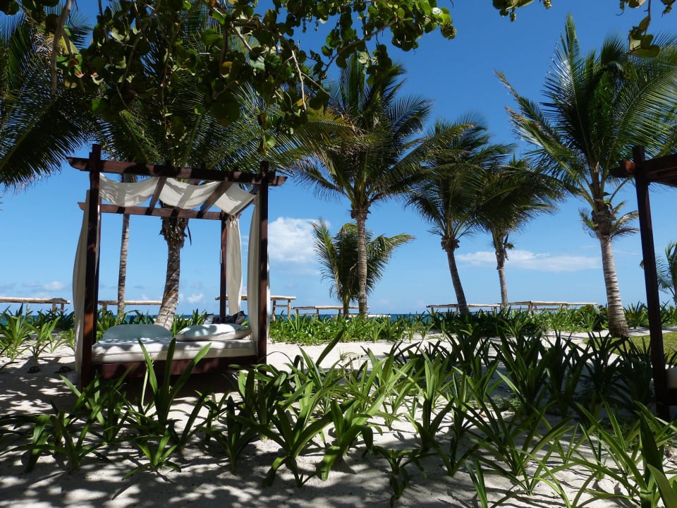 Gartenanlage am Strand Akumal Bay Beach & Wellness Resort
