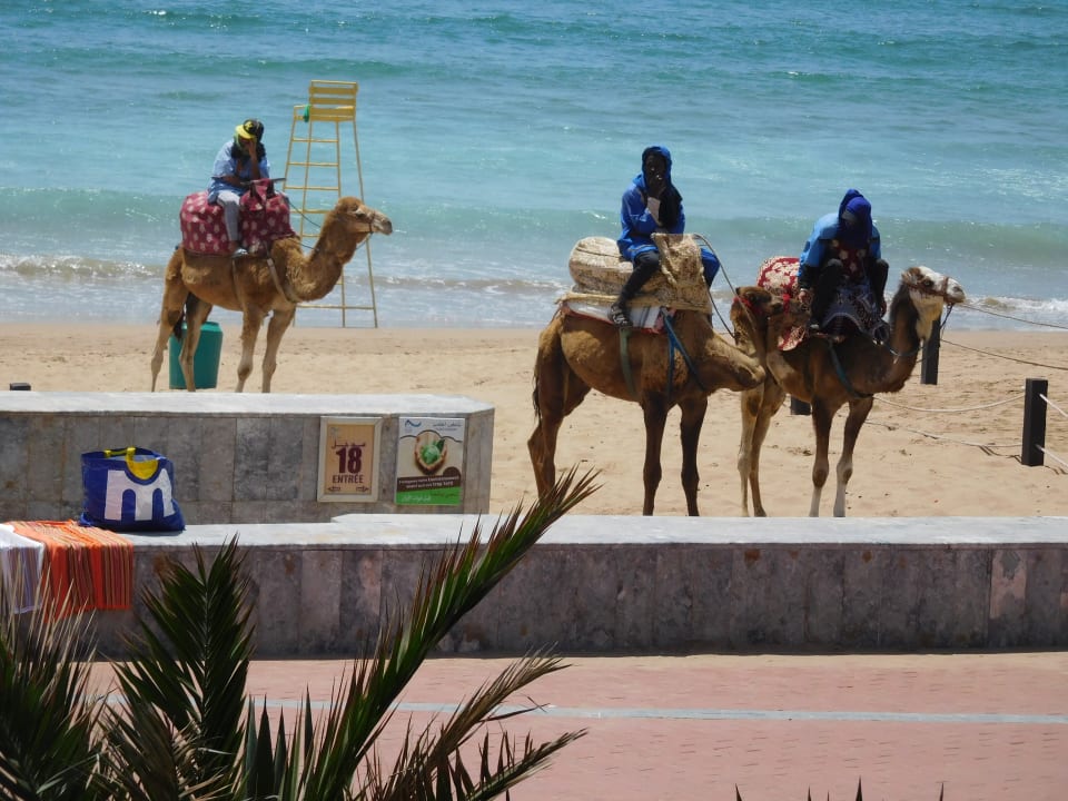 Strand Hotel Riu Palace Tikida Agadir