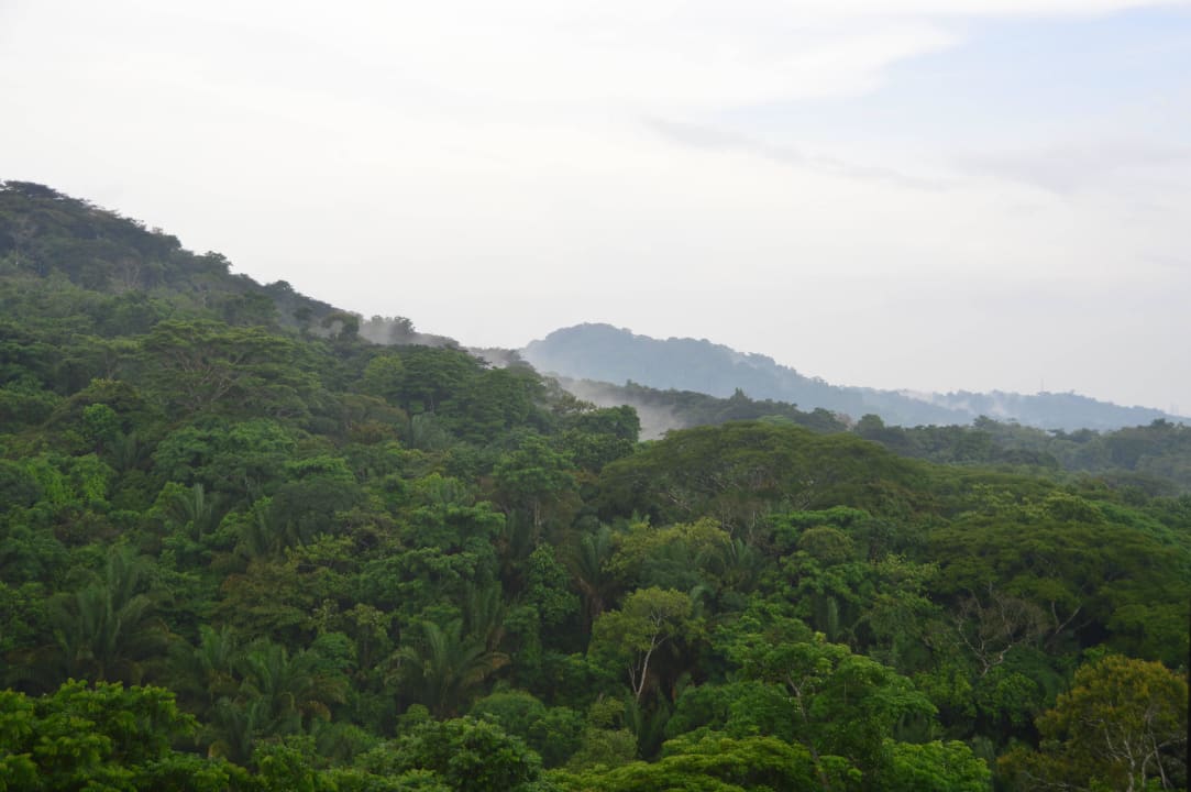 A very nice Golf resort Summit Rainforest & Golf Resort