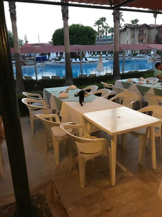 Restaurant Miramare Queen Hotel