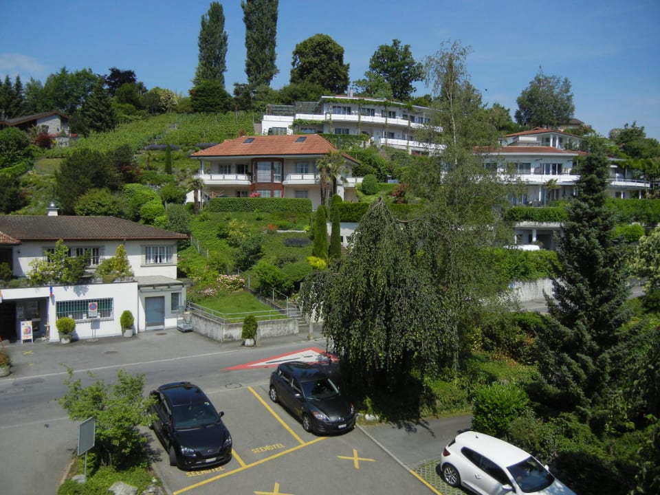 Bergblick Seehotel Kastanienbaum