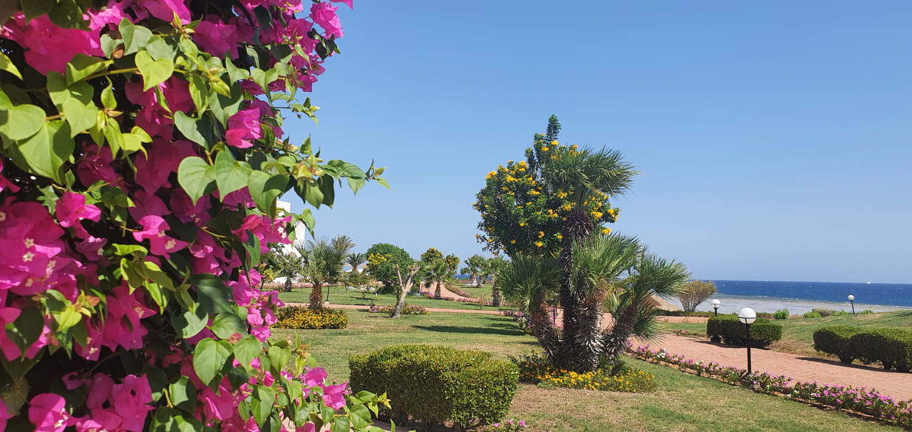 Ausblick Three Corners Equinox Beach Resort