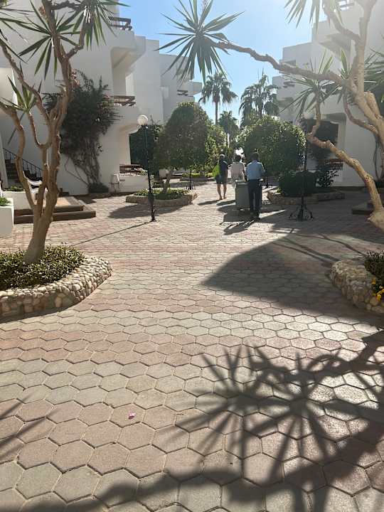 Außenansicht Marlin Inn Azur Resort