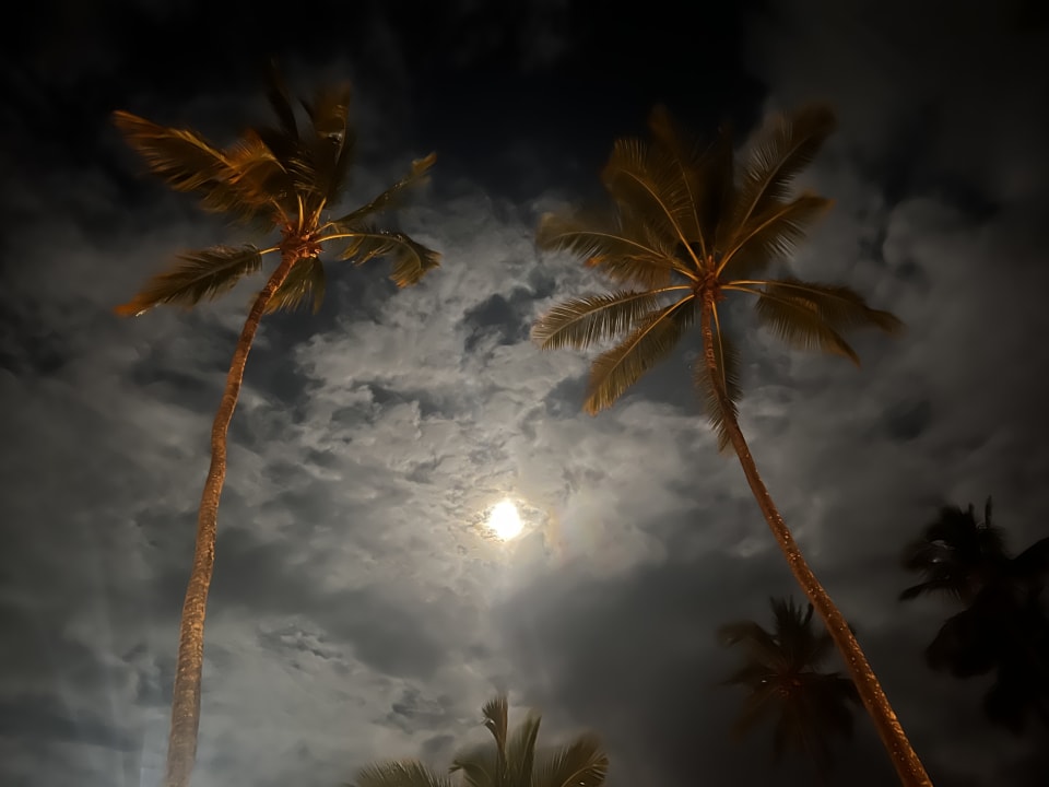 Ausblick TUI Blue Bahari Zanzibar