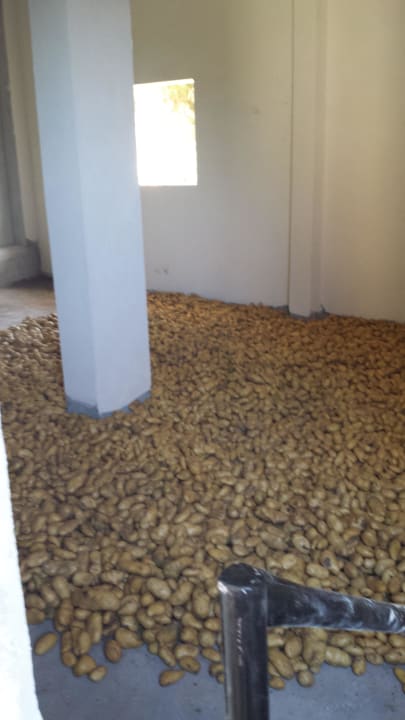 Das Kartoffel Lager im Hotel Keller Riverside Garden Resort