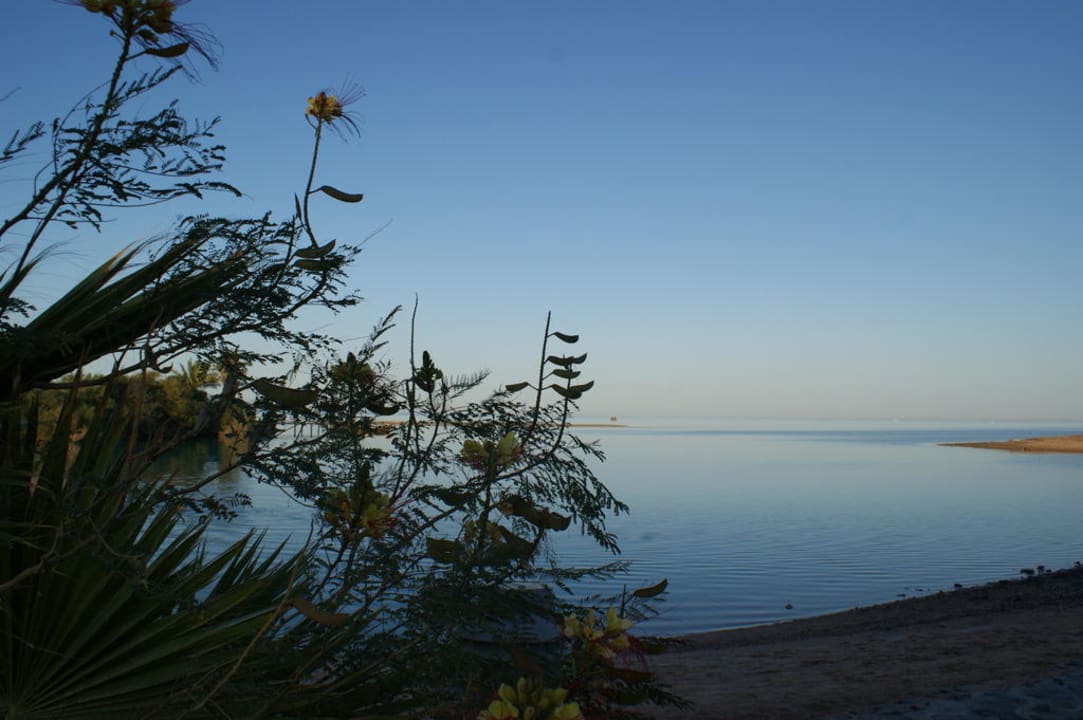 Abendstimmung am Strand Mövenpick Resort & Spa El Gouna