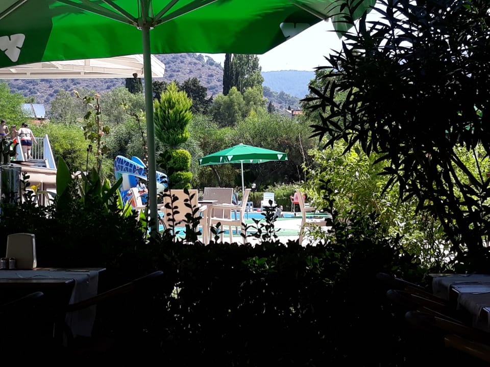 Pool Dogan Paradise Beach