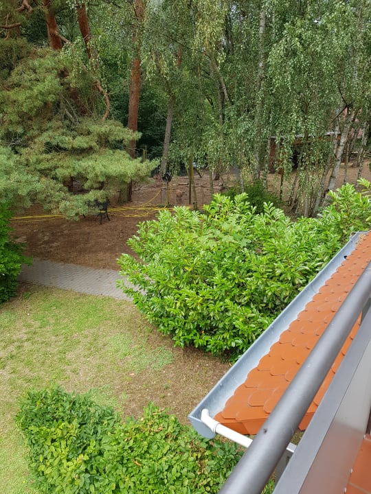 Zimmer Hotel Springbach-Mühle