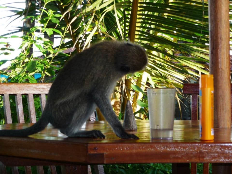 Prost! Diani Sea Resort