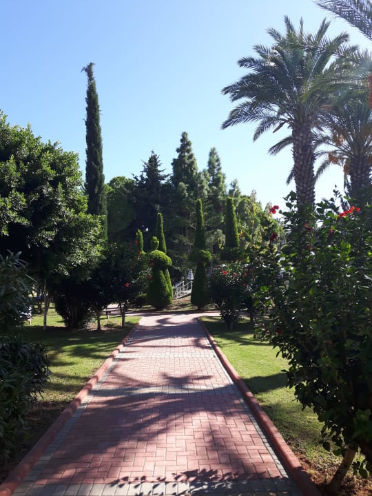 Außenanlage Lonicera Resort & Spa Hotel