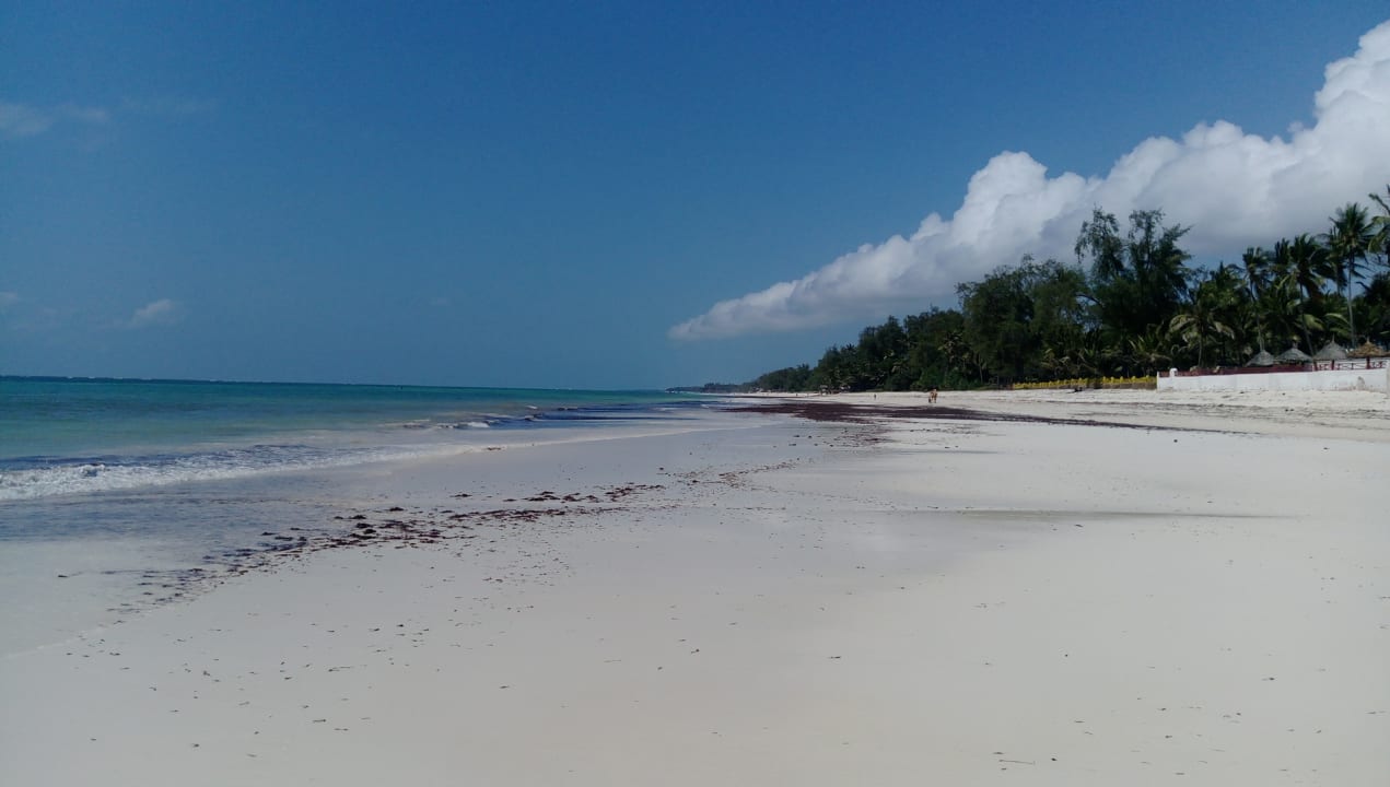 Strand Diani Sea Resort