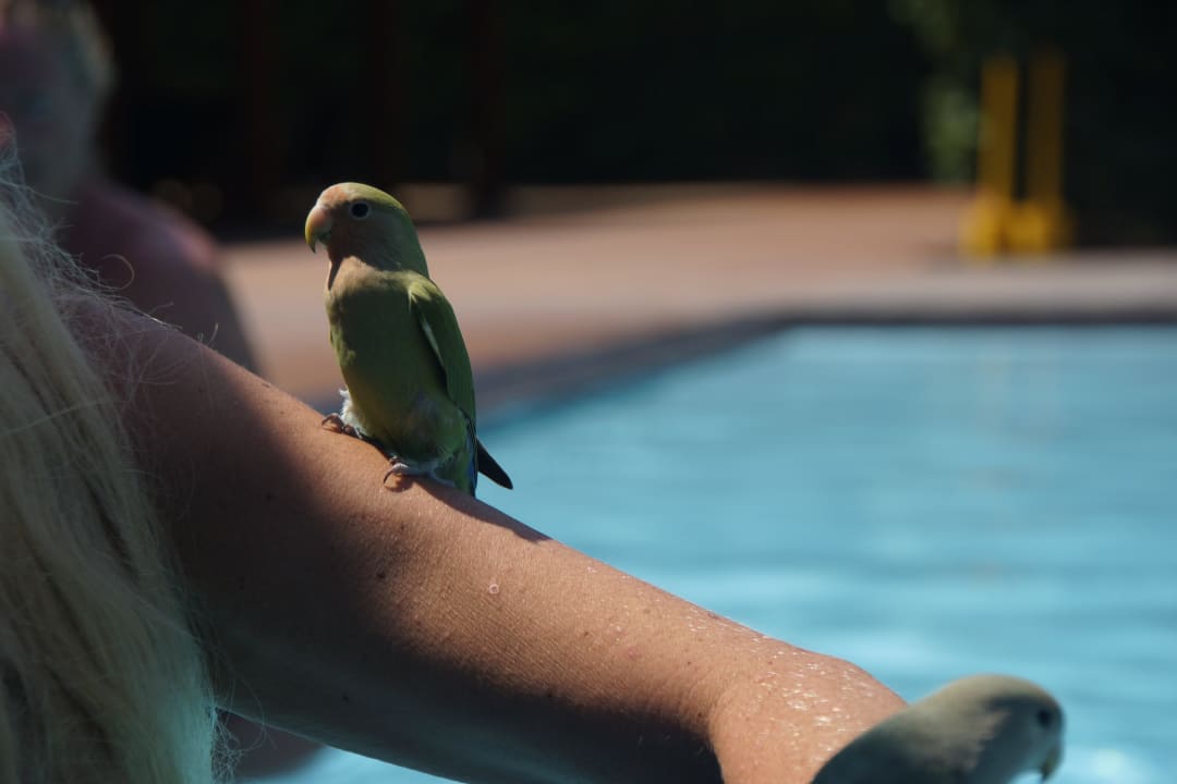 Einer der beiden Hotel-Wellis Adaaran Select Meedhupparu Island Resort - Premium All Inclusive