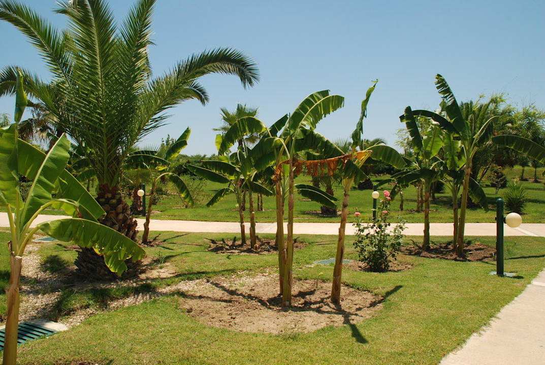 Der Garten VONRESORT Golden Coast