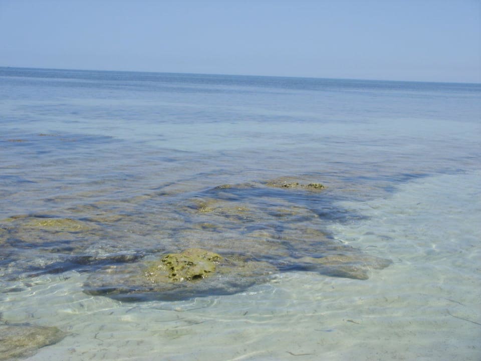 Meer mit Felsen Hotel El Mouradi Djerba Menzel