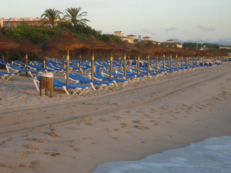 Morgens um 7:30h Iberostar Selection Albufera Park