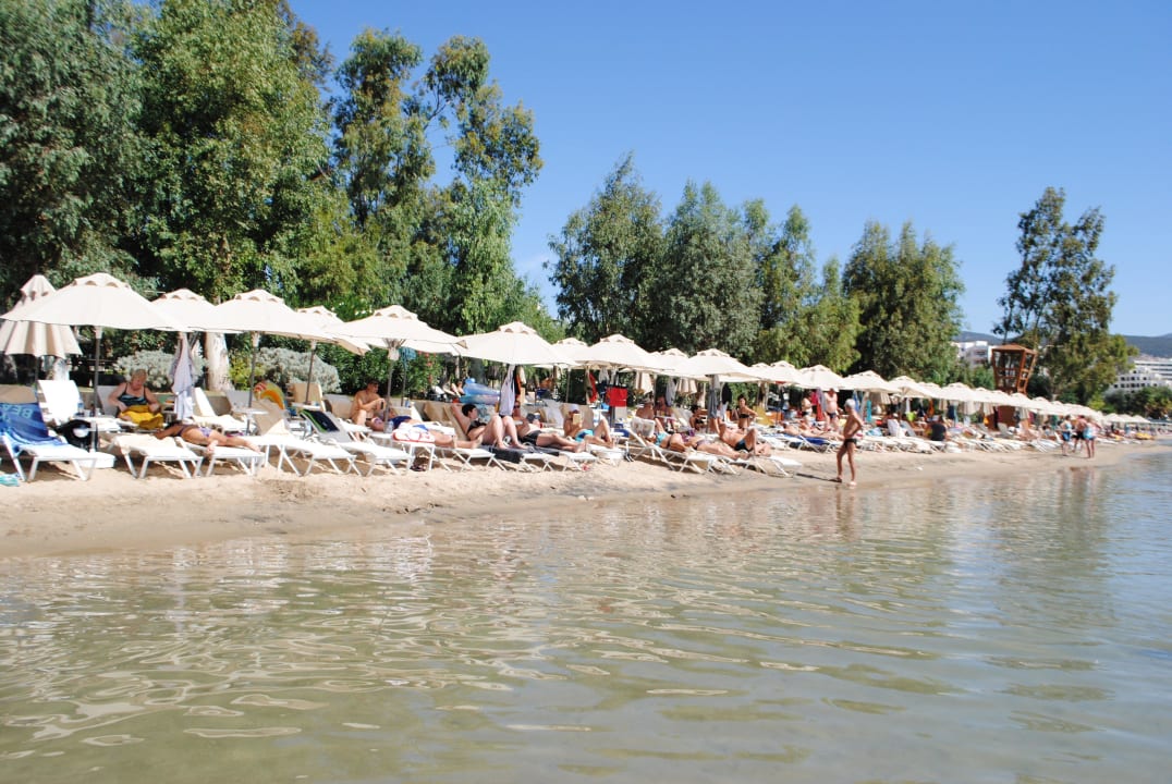 Strand Asteria Venus Didim