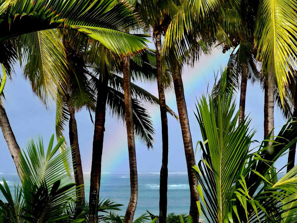 Gartenanlage Hotel Riu Palace Mauritius