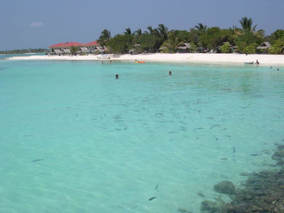 Strand mit Blick auf die Wasserbungis Summer Island Maldives