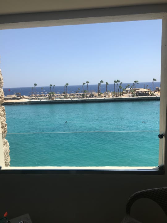 Pool Pickalbatros Citadel Resort