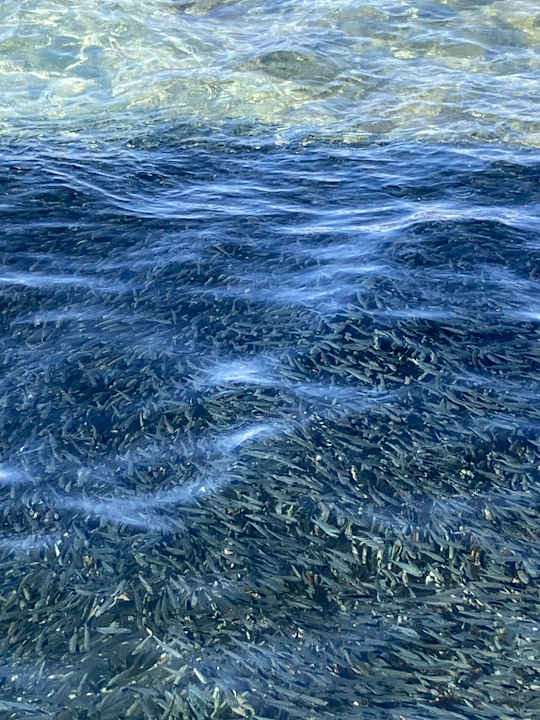 Sonstiges Cleopatra Luxury Resort Makadi Bay