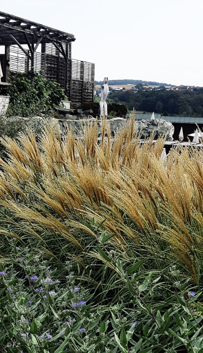 Gartenanlage Avita Resort Bad Tatzmannsdorf