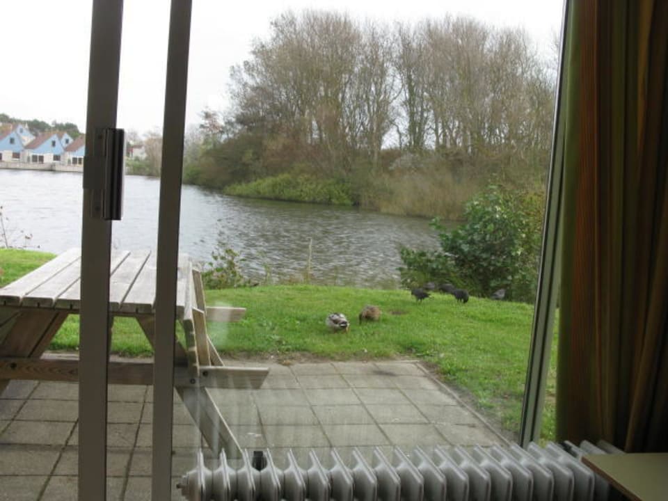 Der Blick aus dem Wohnzimmer, herrlich Center Parcs Park Zandvoort
