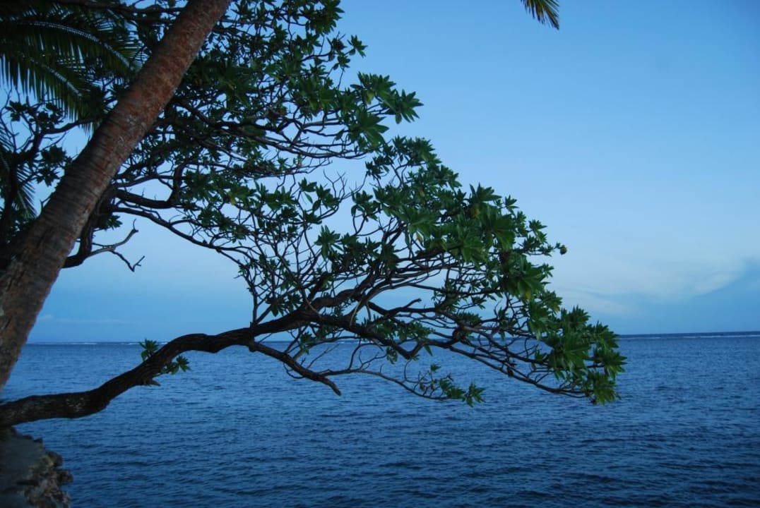 Просто красиво. Warwick Fiji Hotel