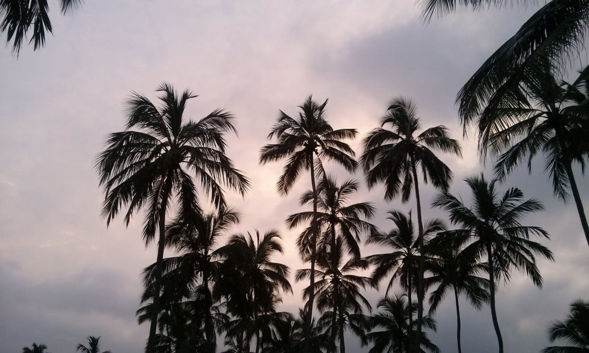 Sonnenuntergang Club Hotel Dolphin