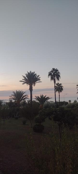 Ausblick Hotel Defne Garden