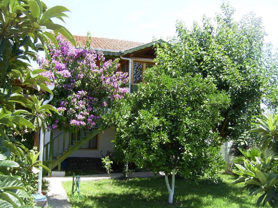 Große Ferienwohnung außen Hotel Rüya Pansion