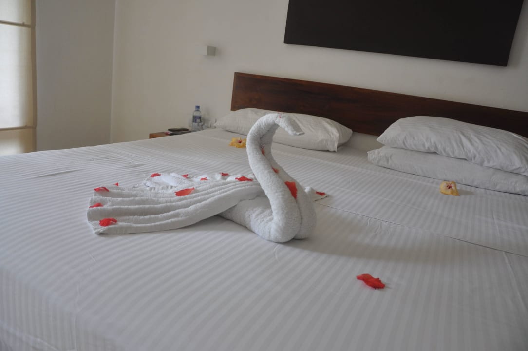 Der Schwan der Liebe  Pandanus Beach Resort & Spa