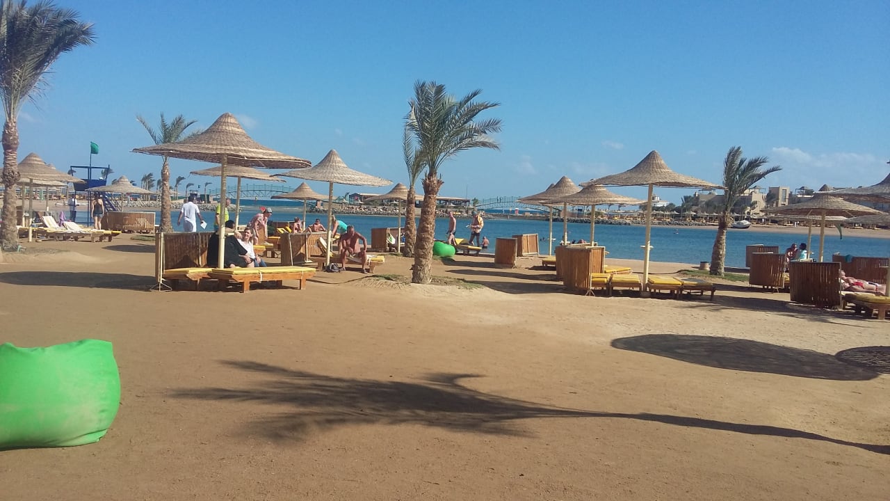 Etwas windig Desert Rose