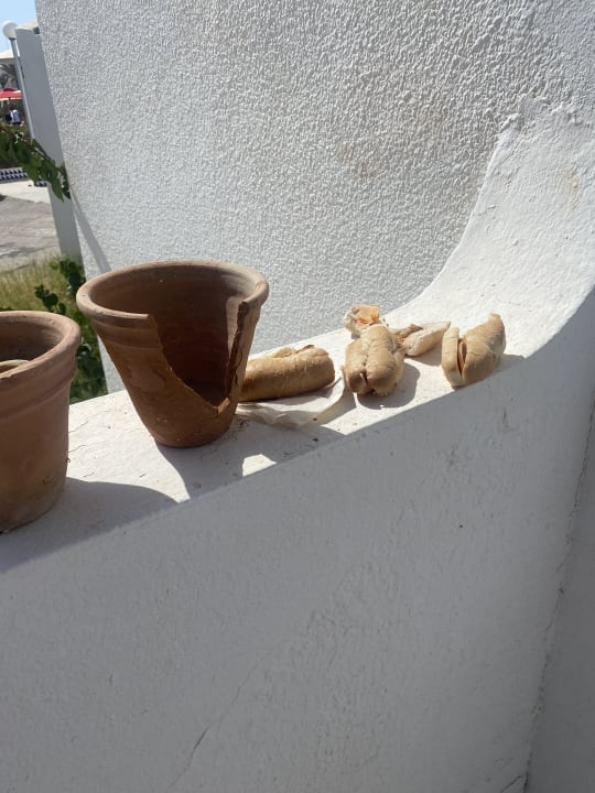 Sonstiges Hotel El Mouradi Djerba Menzel