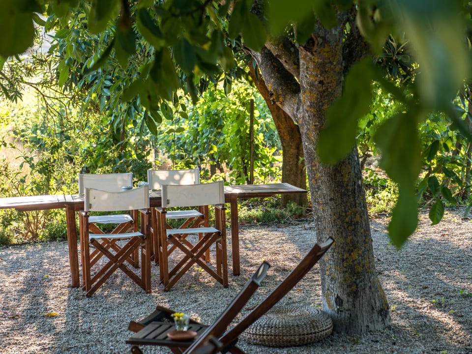 Gartenanlage Hotel Morgadio da Calcada